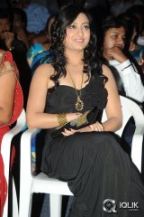 Cut Chesthe Movie Audio Launch